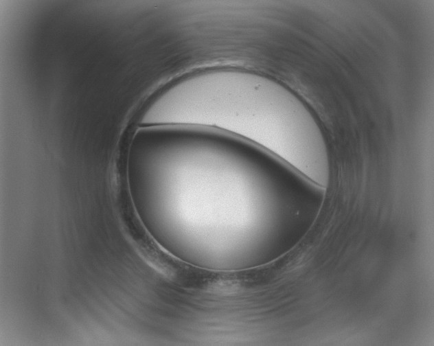 X0000069830252200605190949