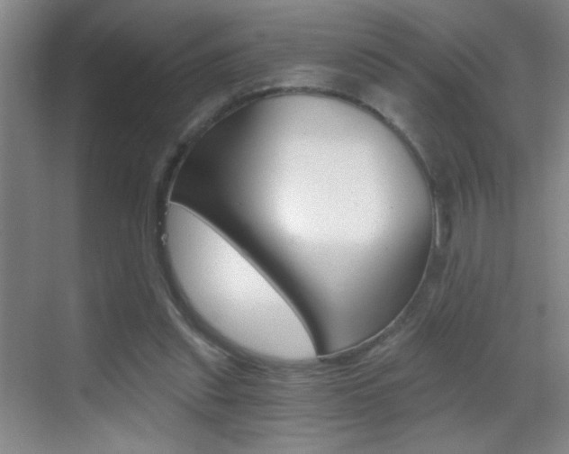 X0000069830253200605190949