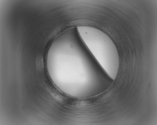 X0000069830254200605190949