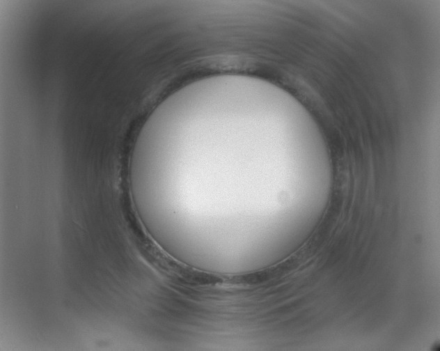 X0000069830255200605190949