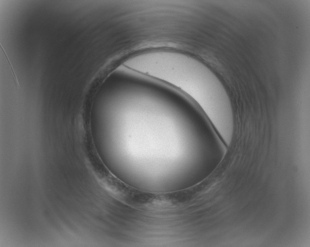 X0000069830256200605190949