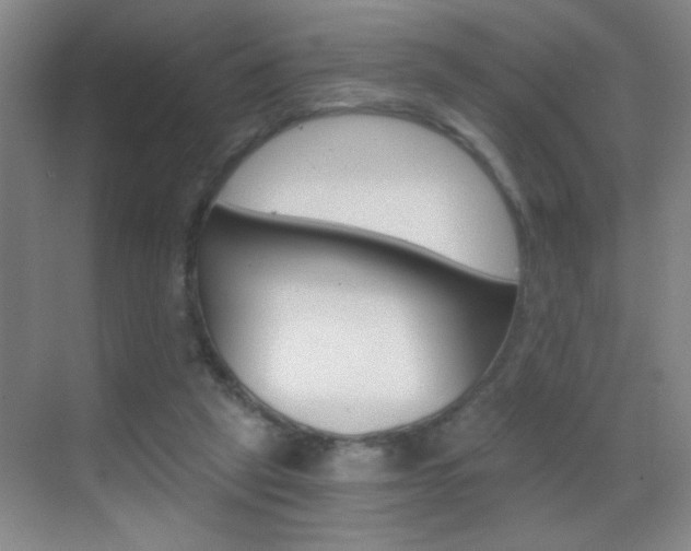 X0000069830257200605190949