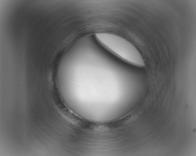 X0000069830258200605190949