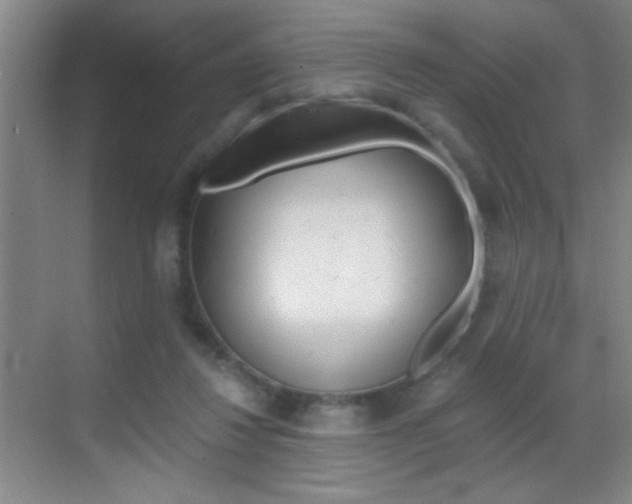 X0000069830260200605190949