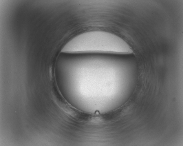 X0000069830262200605190949