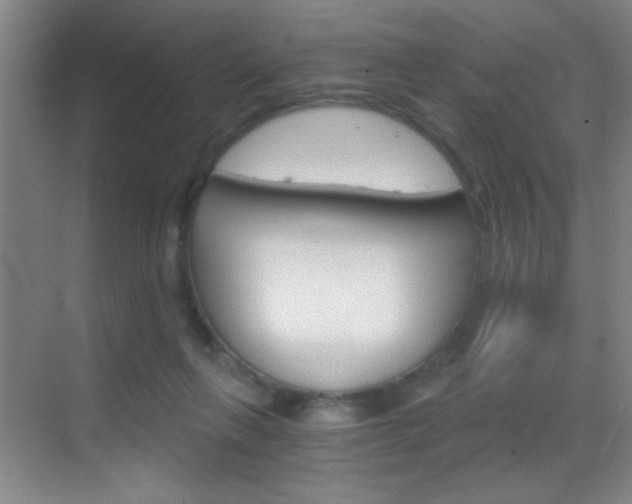 X0000069830263200605190949