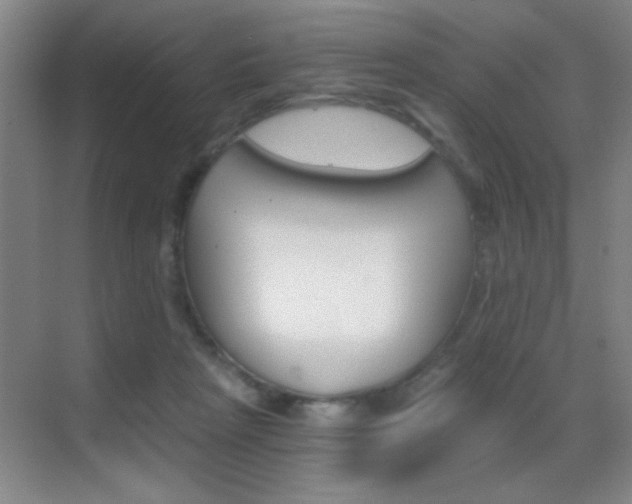 X0000069830265200605190949