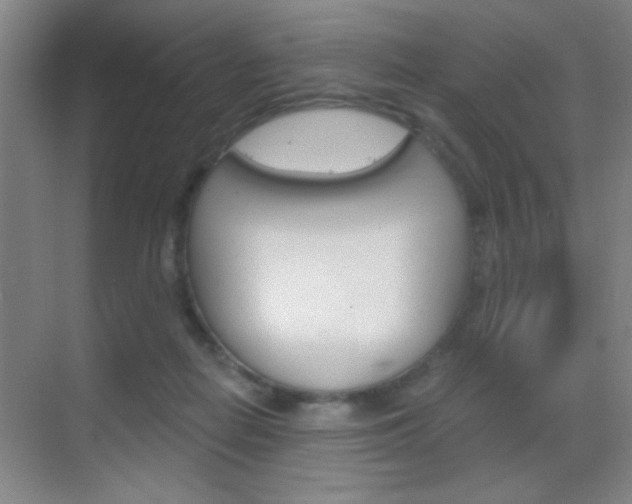 X0000069830266200605190949