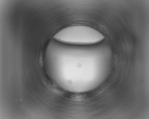 X0000069830267200605190949