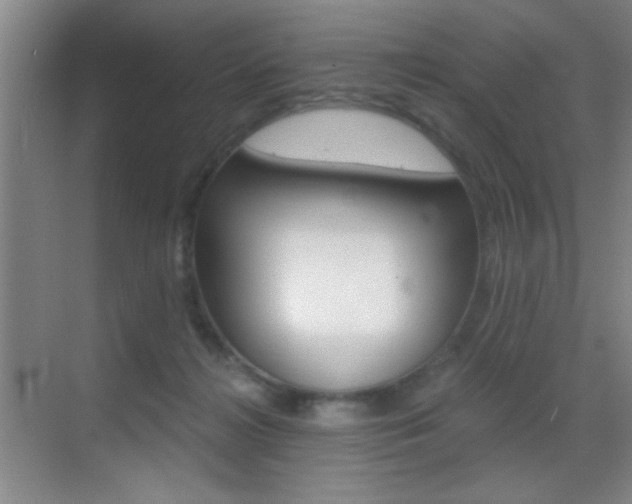 X0000069830268200605190949