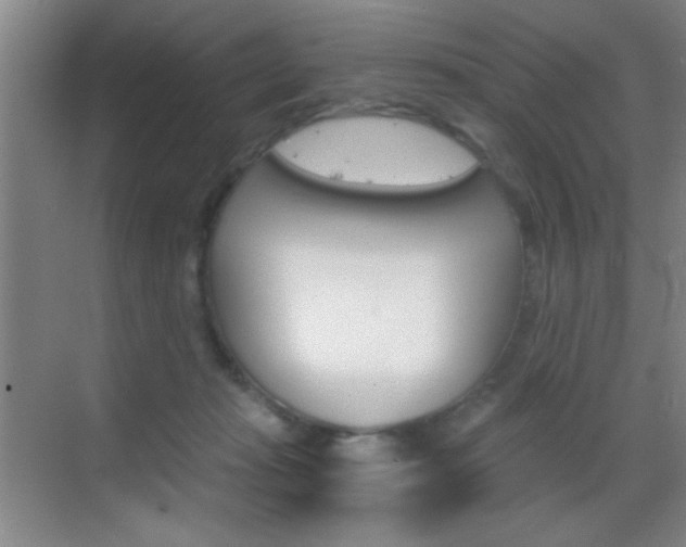 X0000069830269200605190949