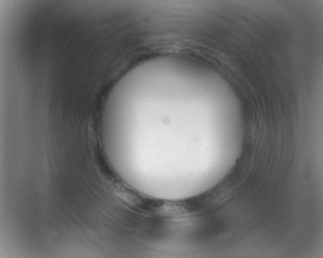 X0000069830270200605190949