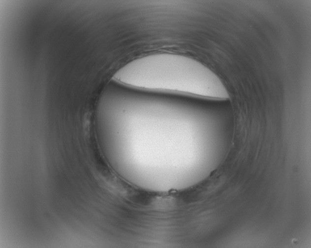 X0000069830271200605190949