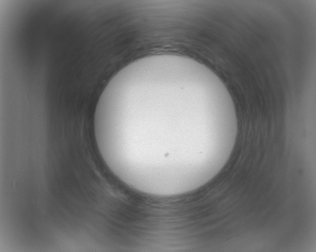 X0000069830272200605190950