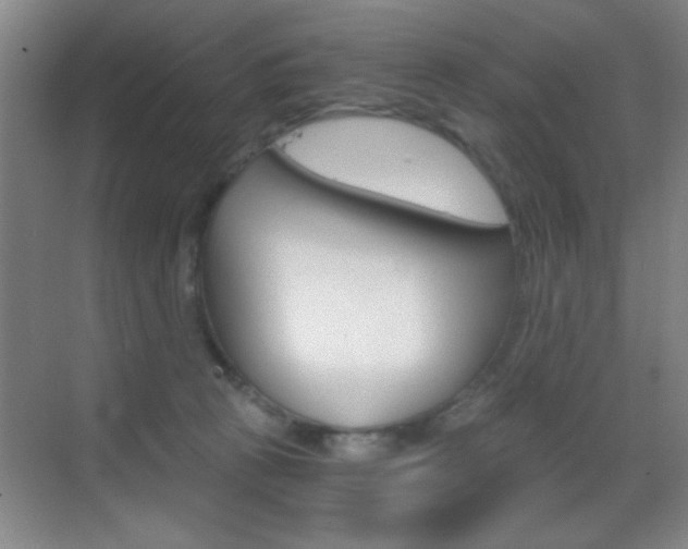 X0000069830273200605190950