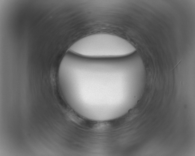 X0000069830274200605190950