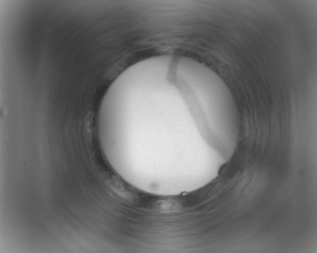 X0000069830275200605190950