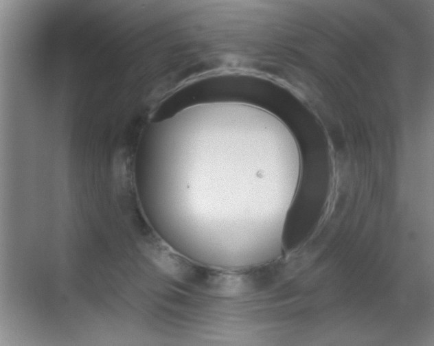 X0000069830276200605190950