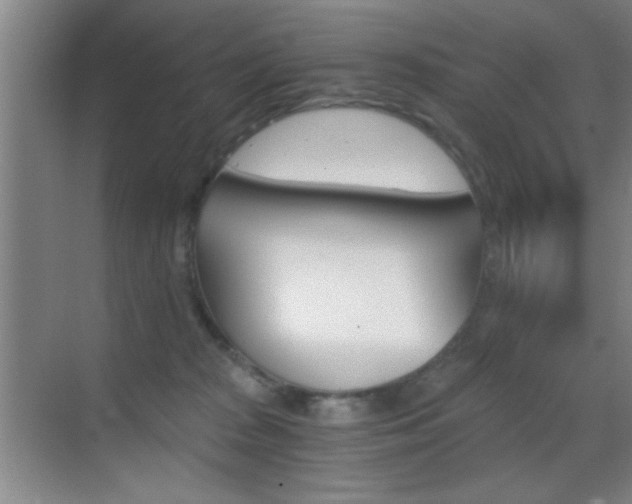 X0000069830277200605190950