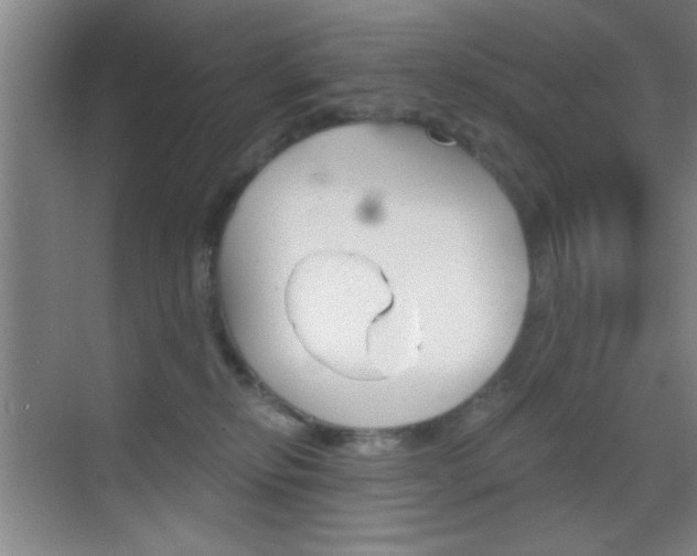 X0000069830278200605190950