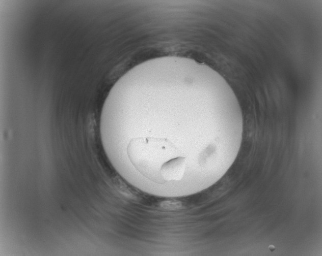 X0000069830279200605190950