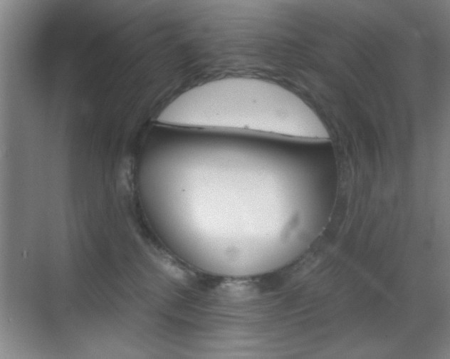 X0000069830280200605190950