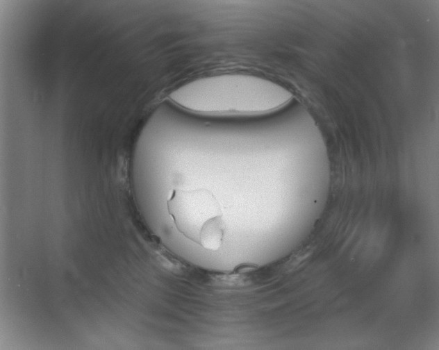 X0000069830281200605190950