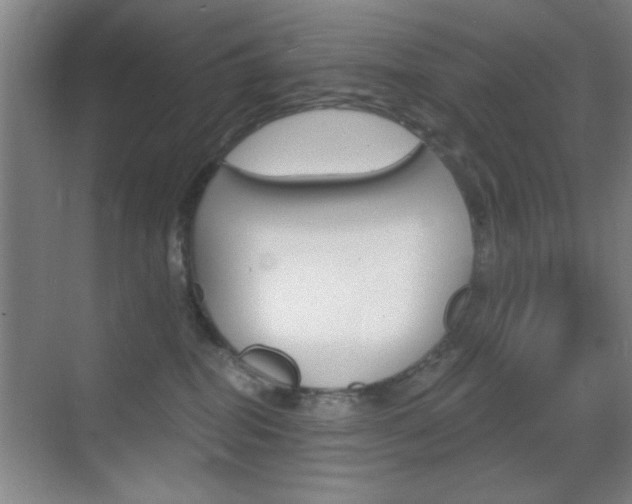 X0000069830282200605190950