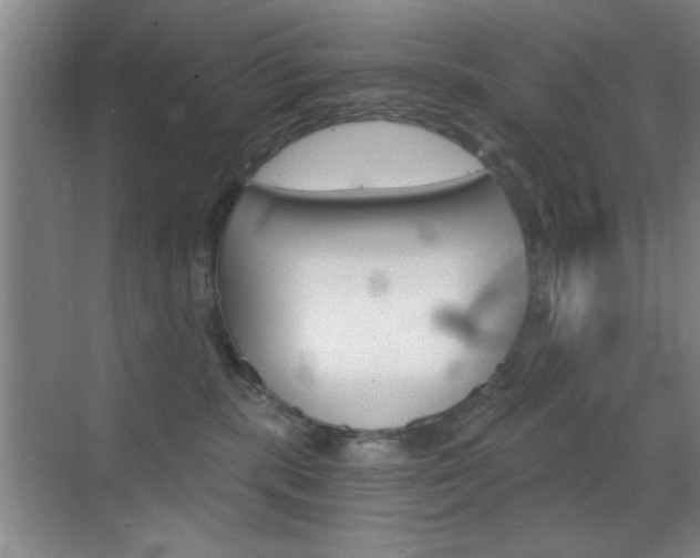 X0000069830283200605190950