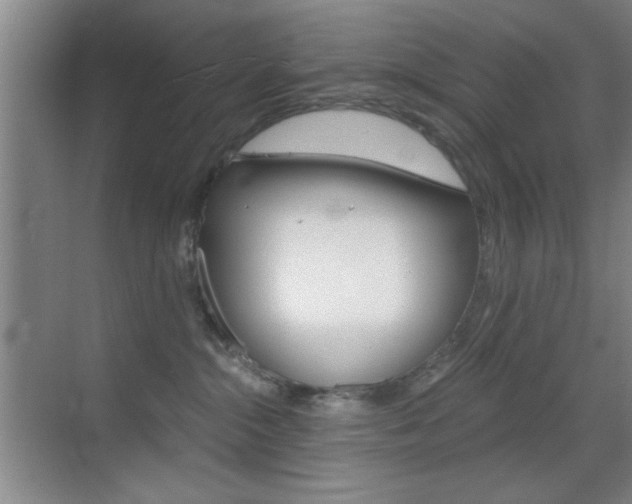 X0000069830284200605190950