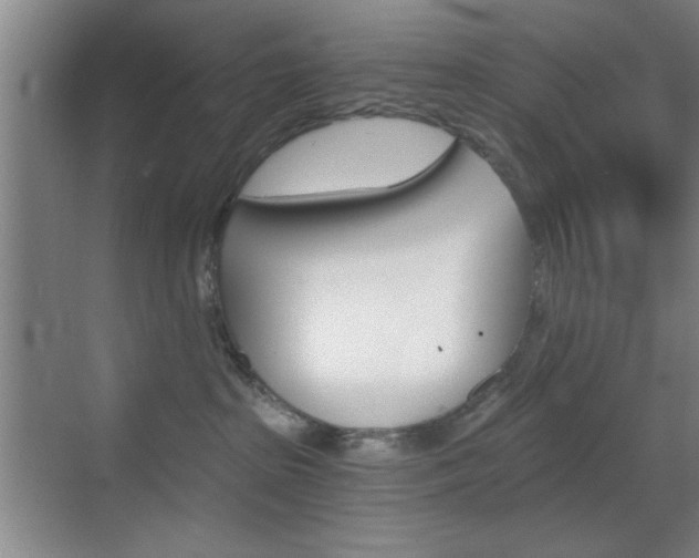 X0000069830285200605190950