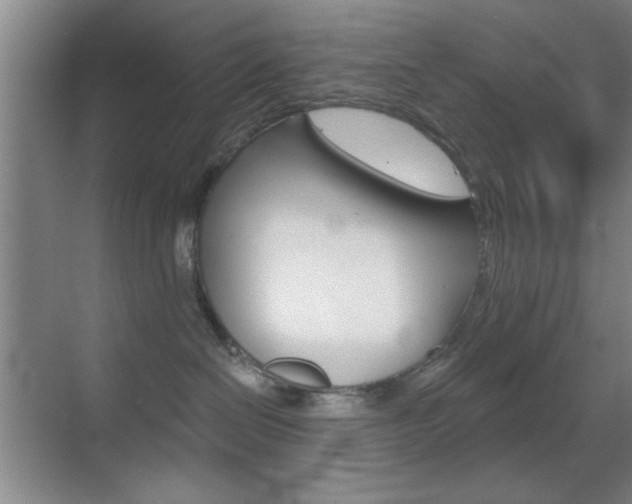 X0000069830286200605190950