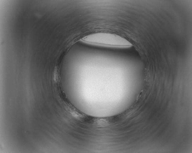 X0000069830287200605190950