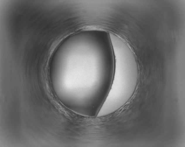 X0000069830289200605190949