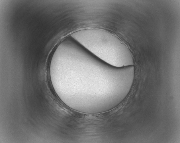 X0000069830290200605190949