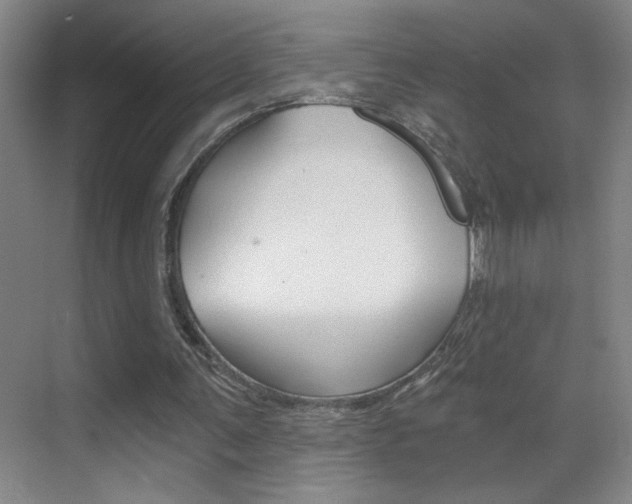 X0000069830291200605190949