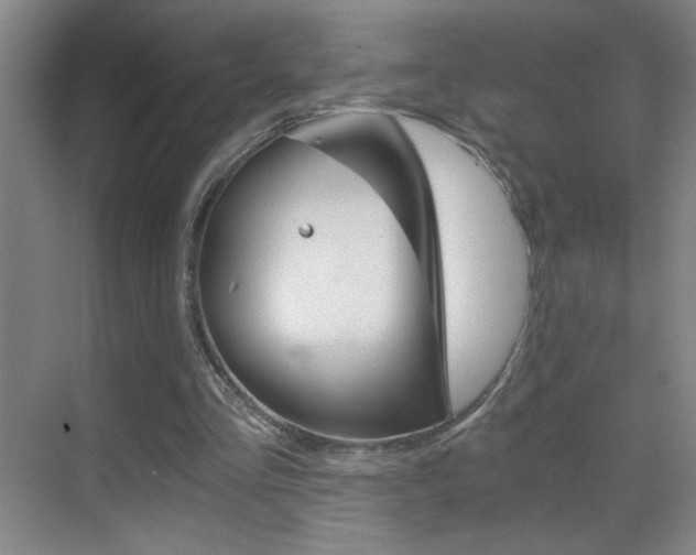 X0000069830293200605190949