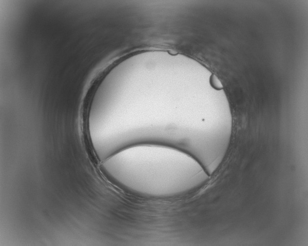 X0000069830294200605190949