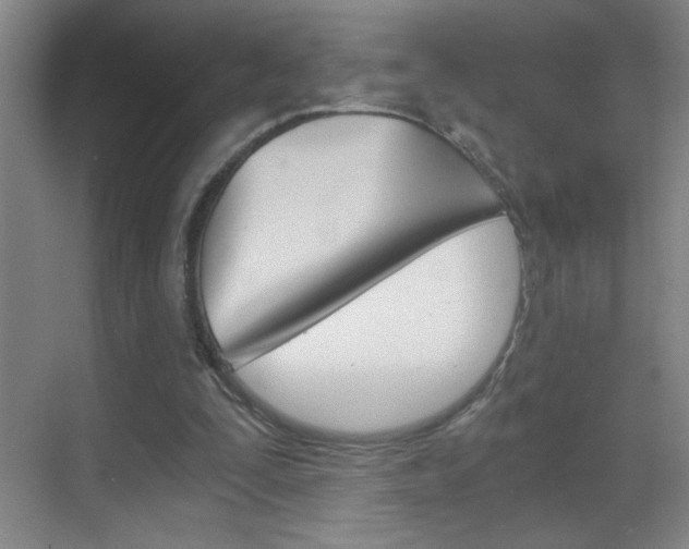 X0000069830295200605190949