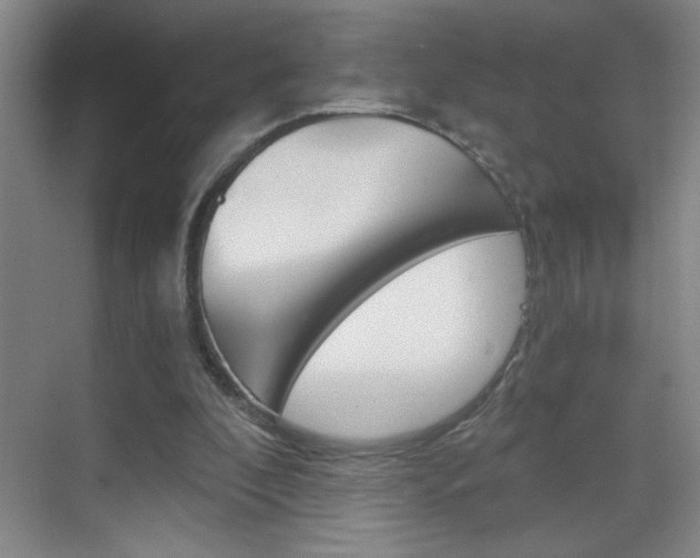 X0000069830296200605190949