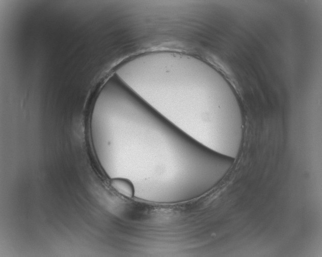 X0000069830298200605190949