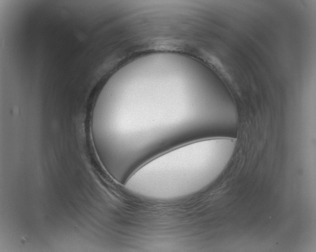 X0000069830299200605190949