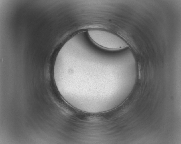 X0000069830300200605190949