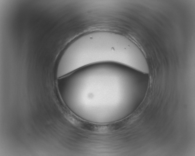 X0000069830301200605190949