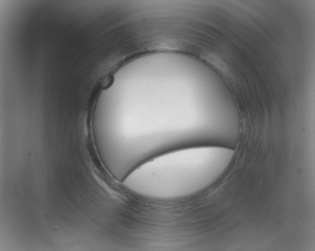 X0000069830302200605190949