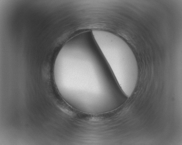 X0000069830303200605190949