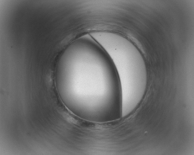 X0000069830305200605190949