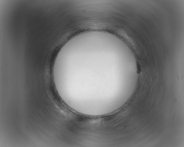 X0000069830306200605190949