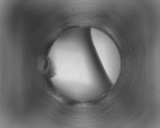 X0000069830307200605190949