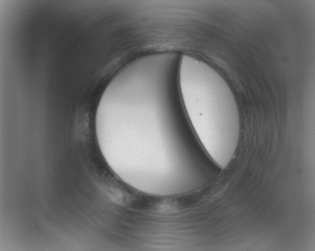 X0000069830308200605190949